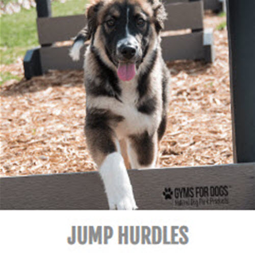 CAD Drawings BIM Models Gyms For Dogs™ Jump Hurdles